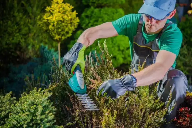 landscaping services Reese